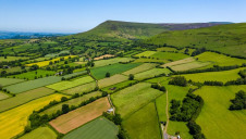 Last year, local authorities in Cornwall, Buckinghamshire, Greater Manchester, Cumbria and Northumberland were selected to trial Local Nature Recovery Strategies
